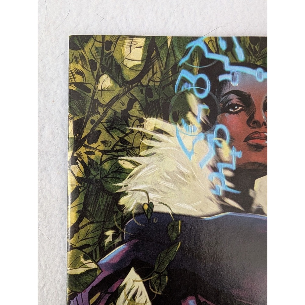 Marvel Sam Wilson Captain America #12 Tula Lotay Variant Cover 2016 NM Range - Picture 3 of 10